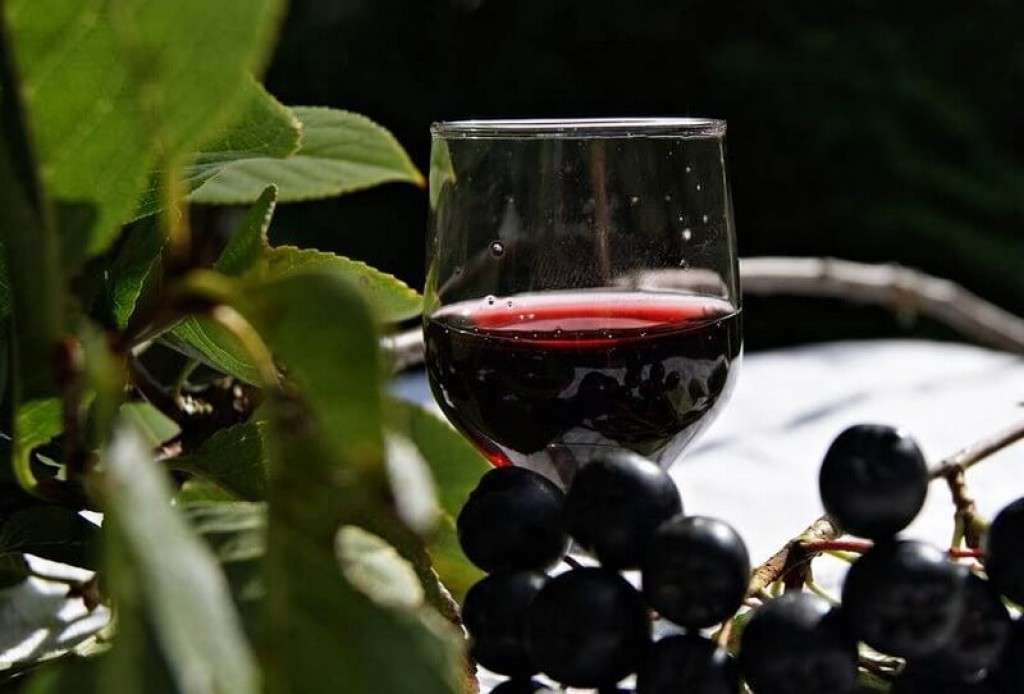 Вино из аронии